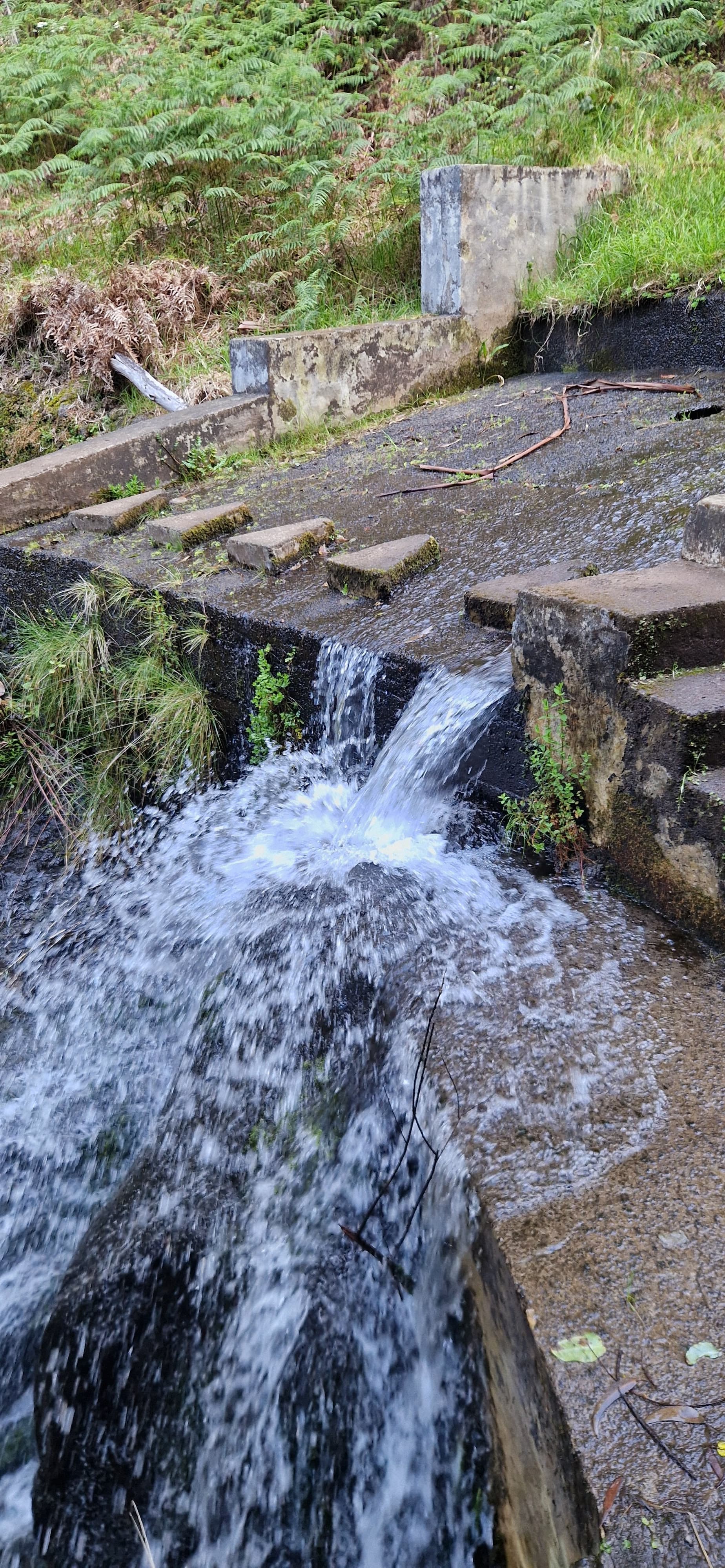 Wasserfall an einer Levada auf Madeira